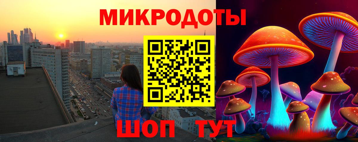 Галлюциногенные грибы прущие грибы  Вход с VPN  Камень-на-Оби  Псилоцибиновые грибы прущие грибы 
